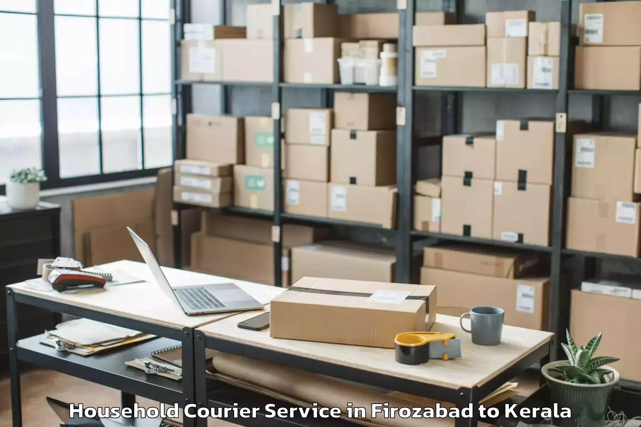 Comprehensive Firozabad to Edakkulam Household Courier